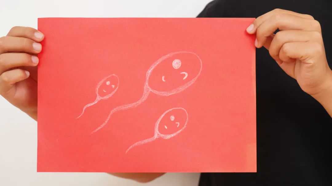 香港验血机构对比,男性在备孕